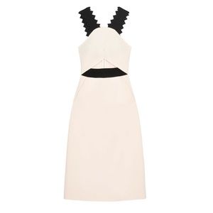 Self-Portrait Cutout Dress